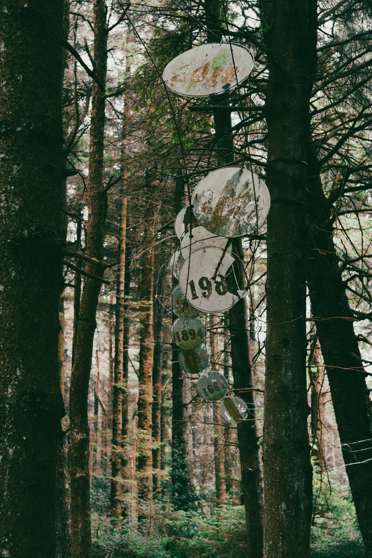 woods15