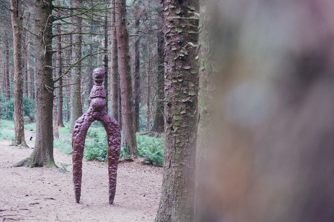 woods13