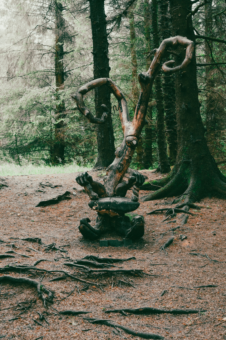 woods05