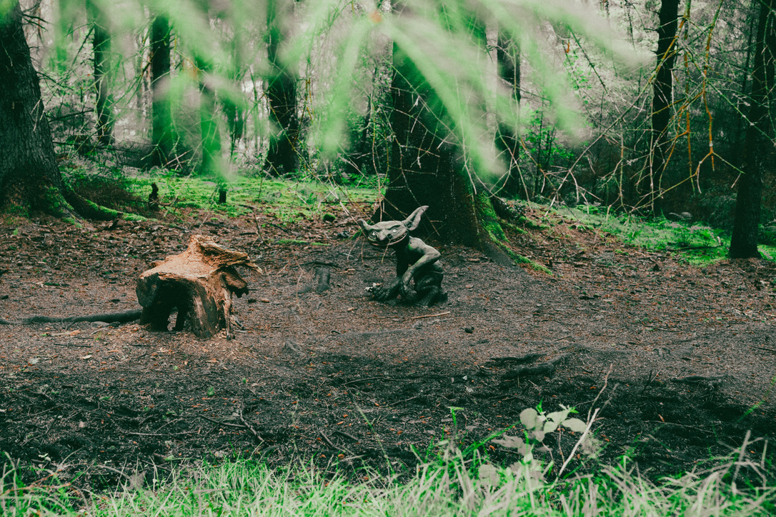 woods04