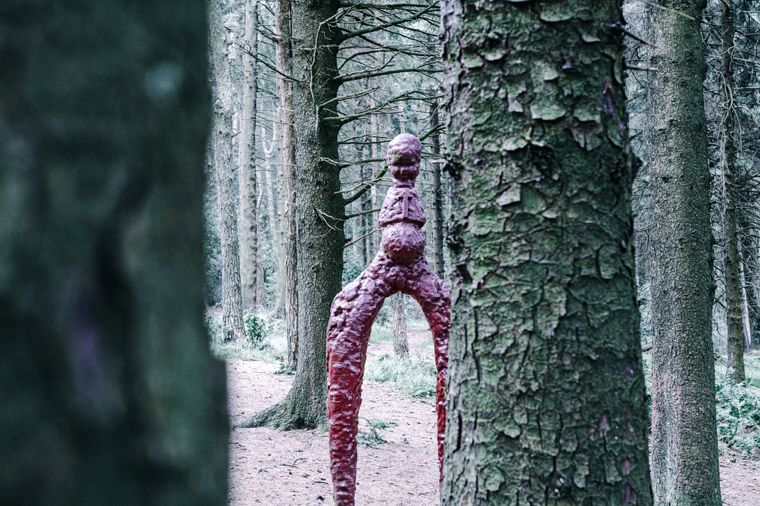 woods14