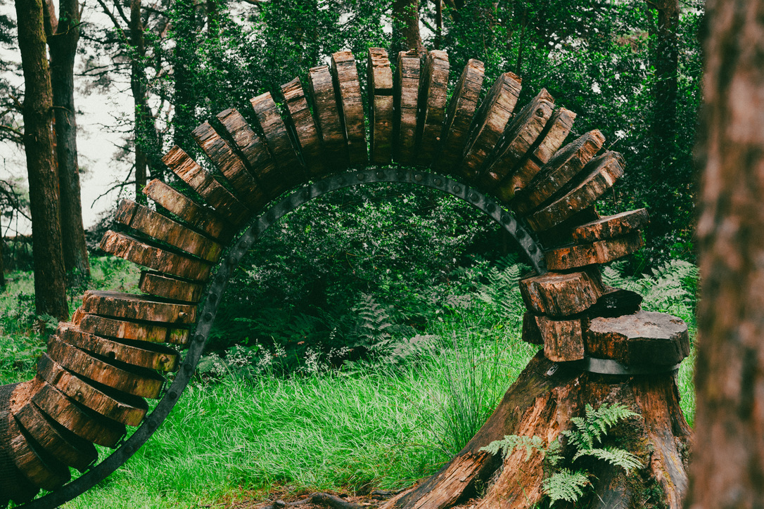 woods11