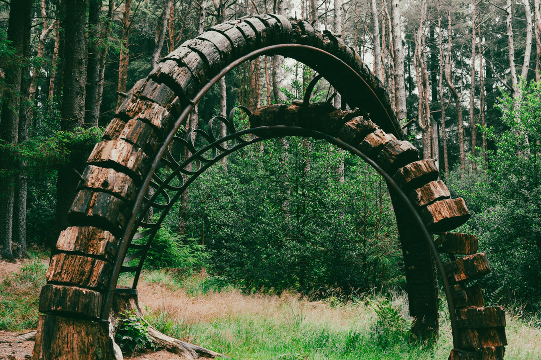 woods12